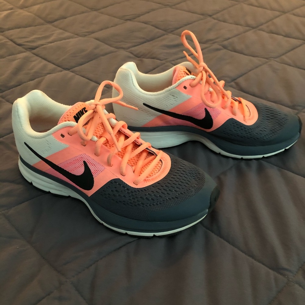 Nike Pegasus 30